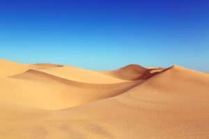 The desert is often imagined as an exotic "wasteland" of sand dunes and not much more in imperialist discourse.